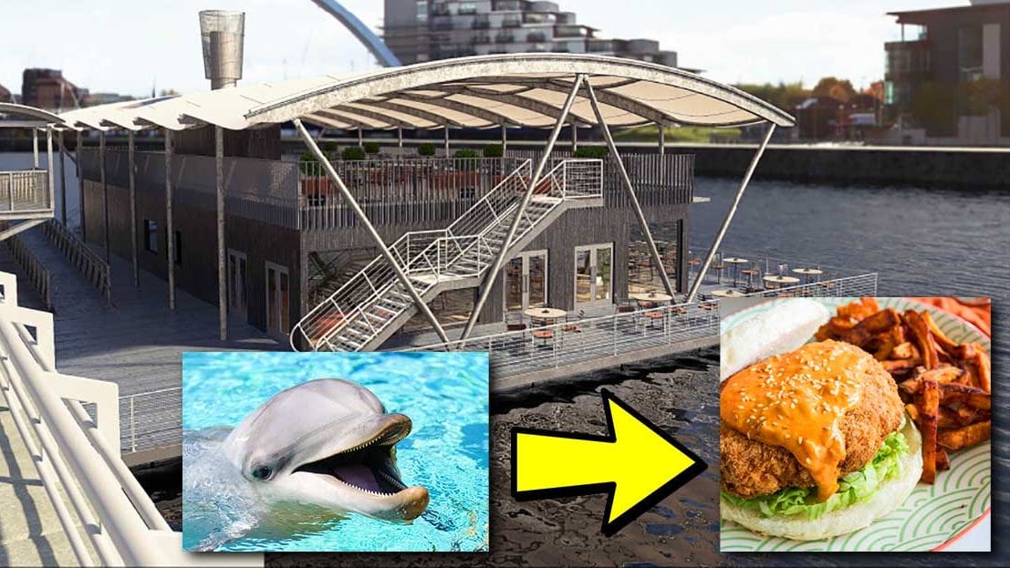 Controversial sea mammal café to open in Nanaimo